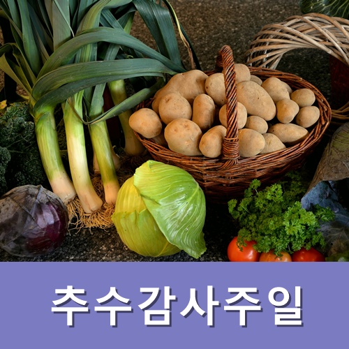  11월 셋째주일 대표기도문 추수감사주일