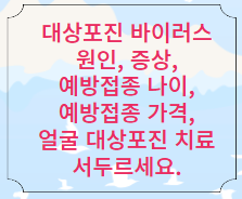 대상포진 바이러스에 대한 내용