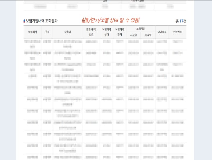 내가 가입한 보험 계약 내용을 확인할 수 있음