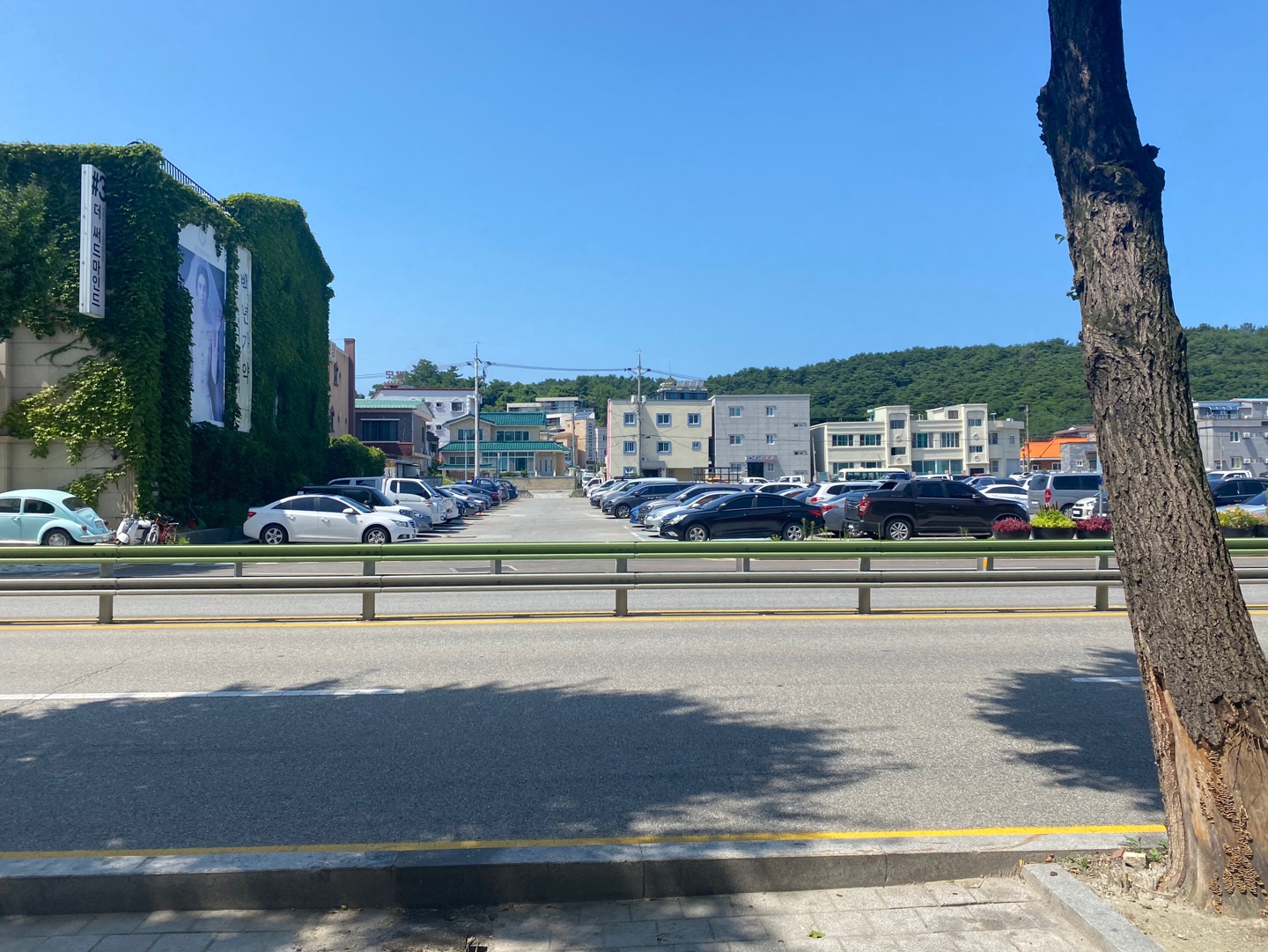 나모야강릉점 이미지