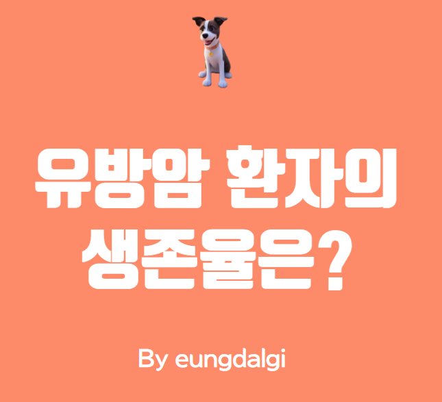  유방암 생존율에 대한 정보성 글