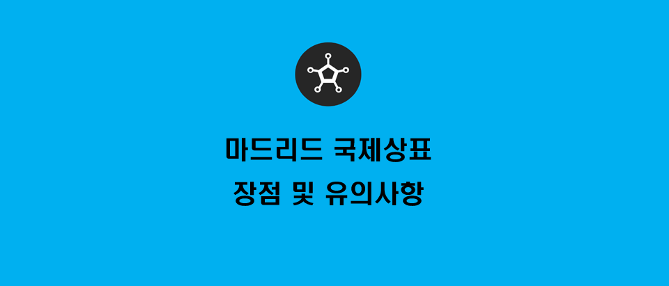  마드리드 국제상표 장점 및 유의사항