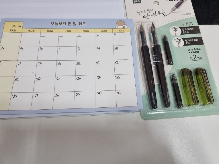  다이소 필기감 좋은 만년필 가성비 굿! 사무실에서 쓰기 좋은 필기구