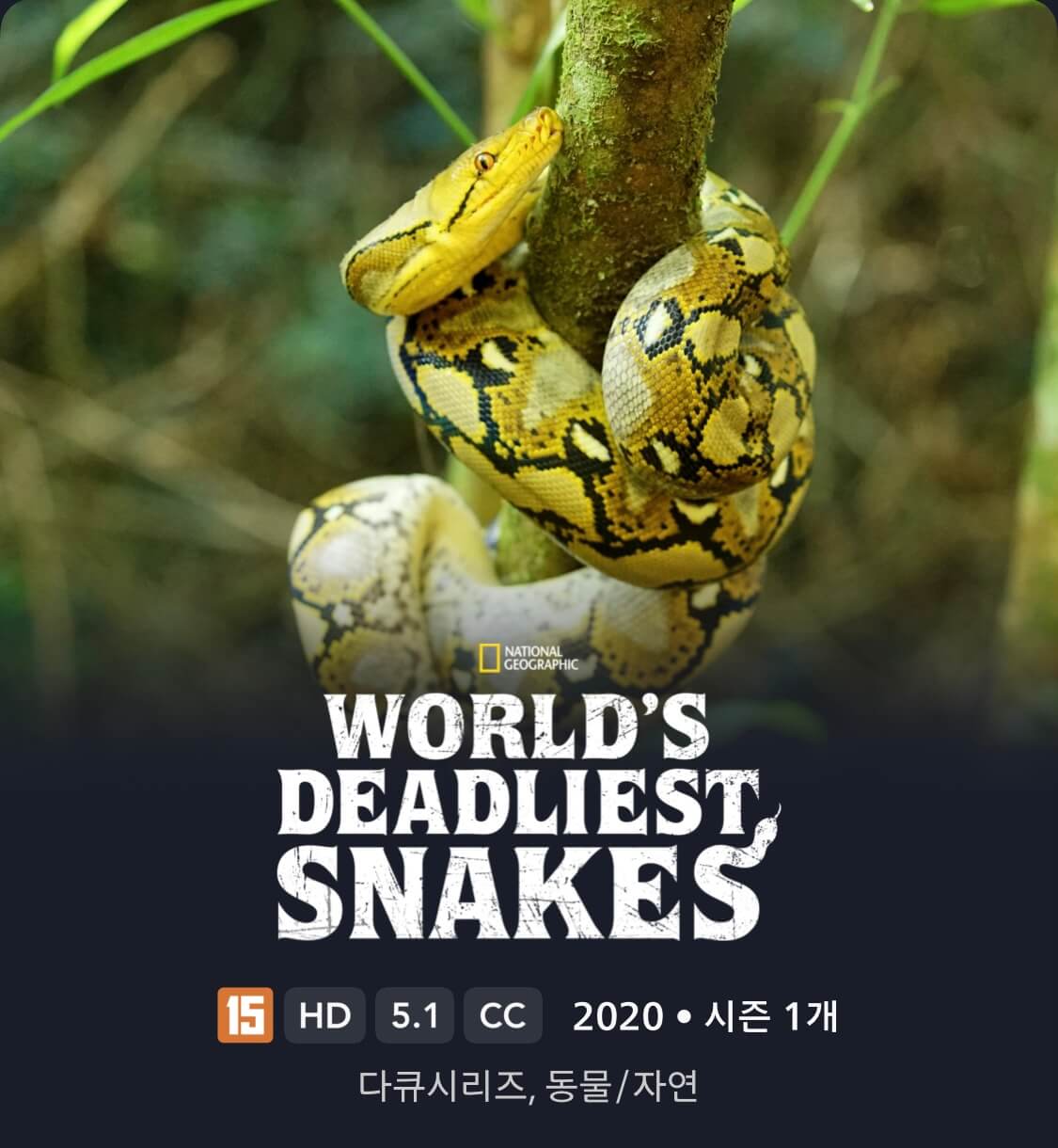 world&#39;s deadliest snakes