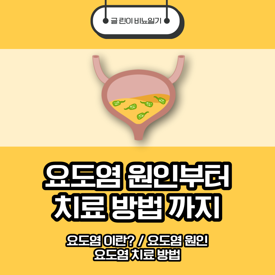  요도염 원인부터 치료 방법 까지