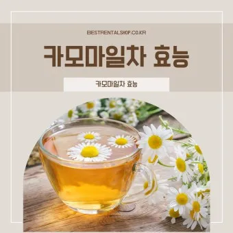 카모마일 차 효능 마시는법_21