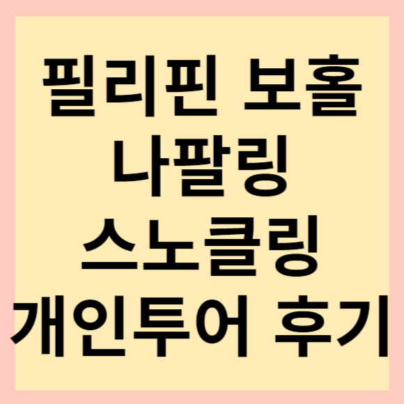  필리핀 보홀 여행 나팔링 스노클링 솔직 후기(물반 고기반. 스노클링 성지입니다)