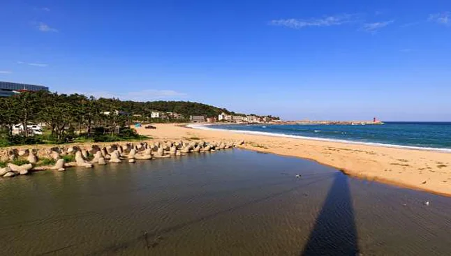 관성솔밭해변