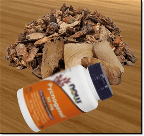 피크노제놀 보충제와 소나무껍질