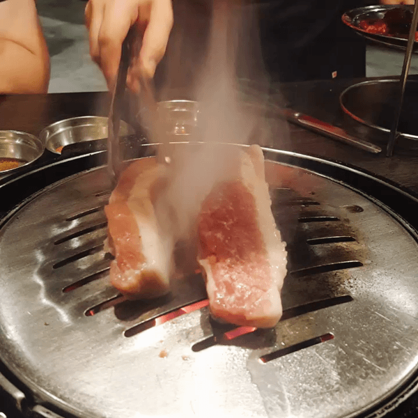  [쿠알라룸푸르 가든스몰]신마포갈매기Shinmapo