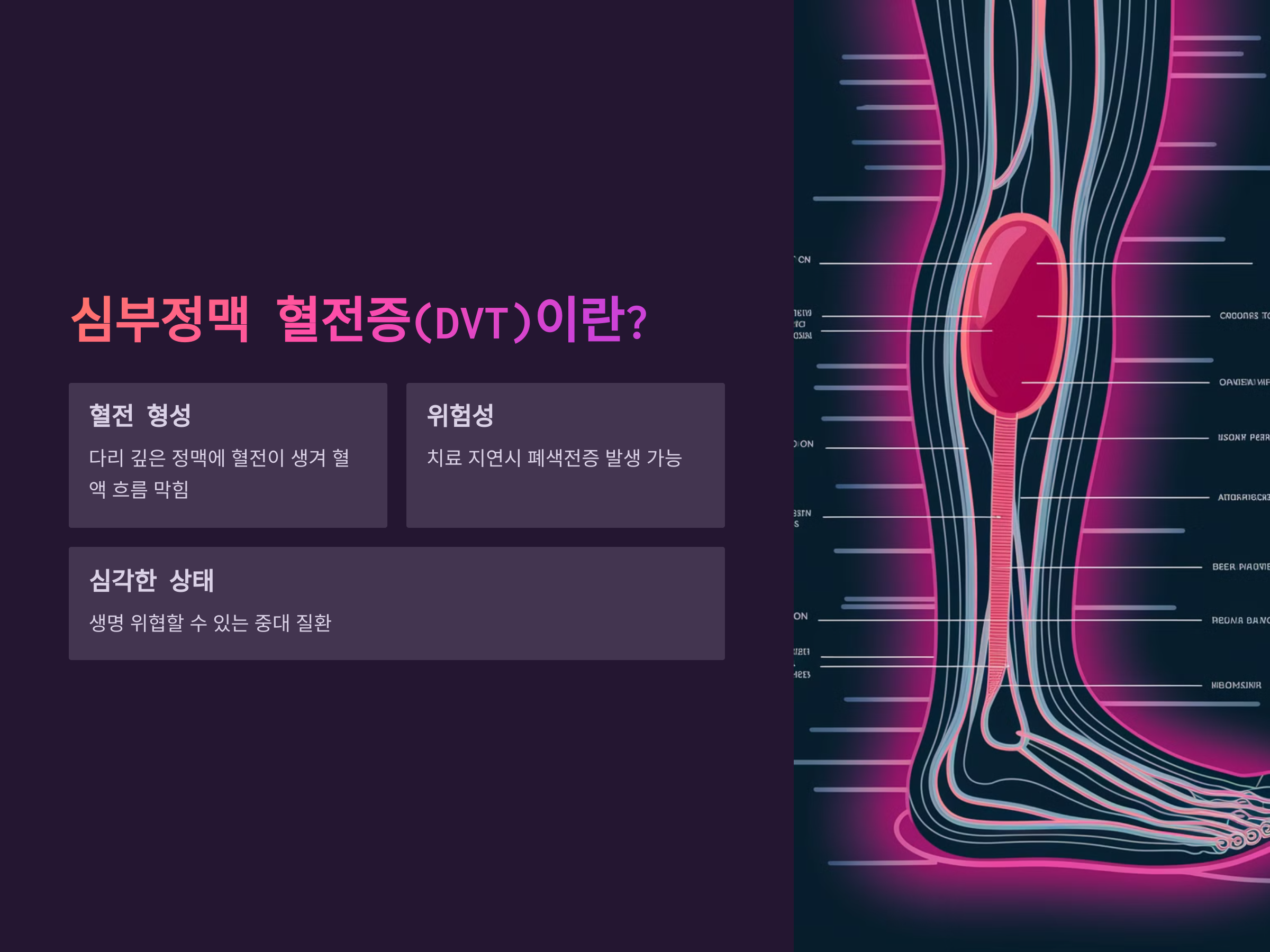다리 한쪽이 부어오르고 아프다면? 심부정맥 혈전증 vs 림프부종, 무엇이 다를까?