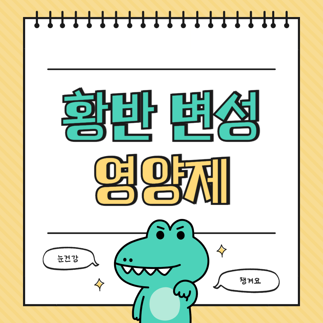 건성황반변성 습성황반변성 비타민E