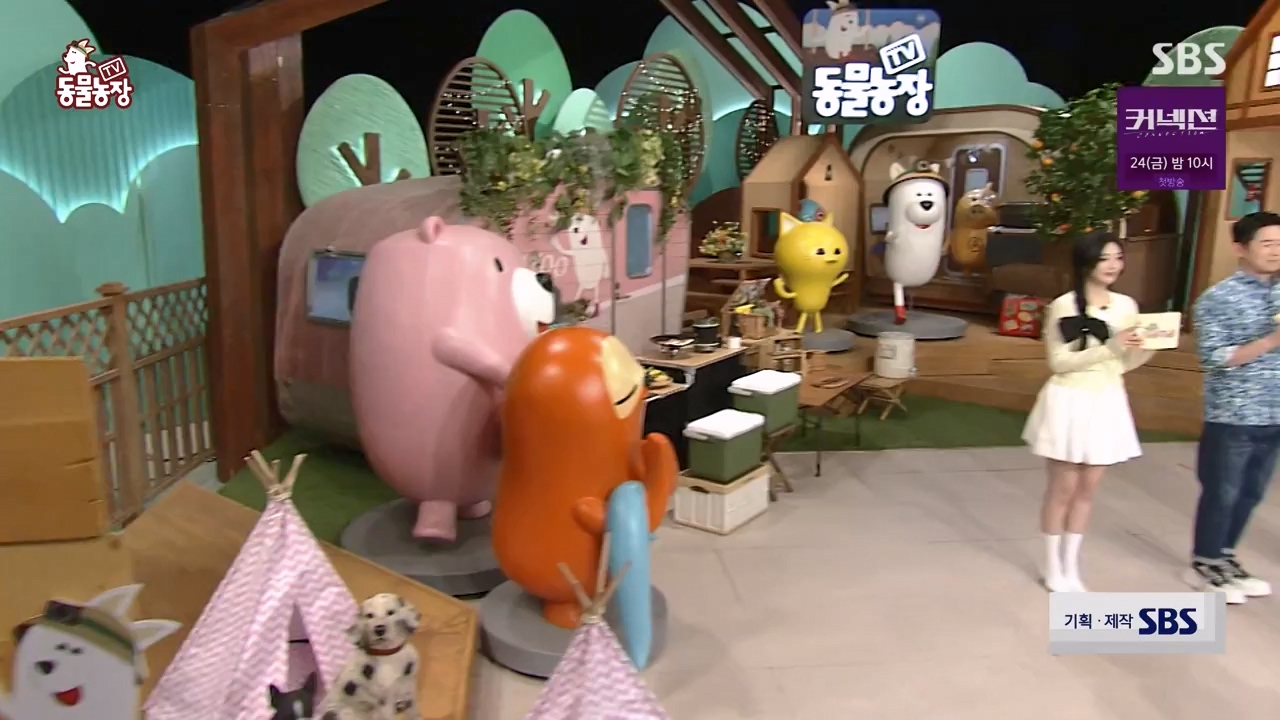 TV 동물농장.E1172.240520p-NEXT.mp4_20240519_165245.852.jpg