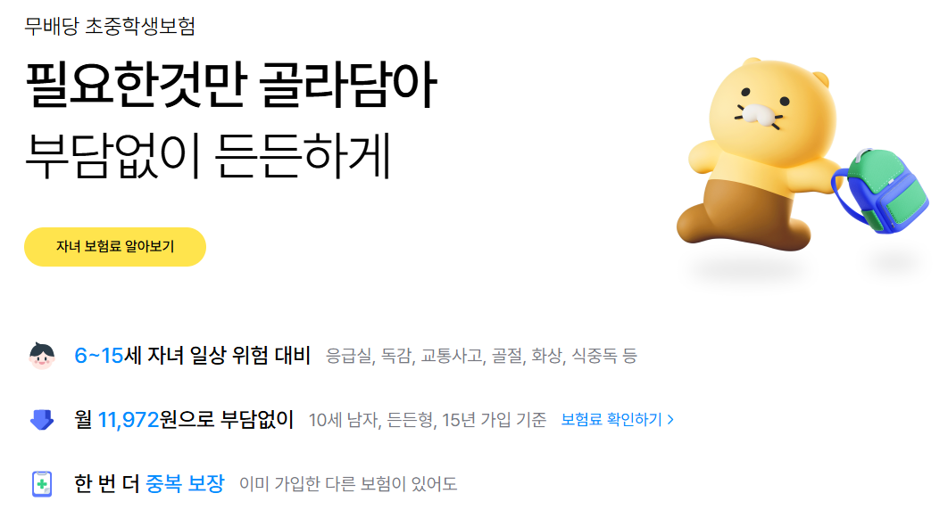 카카오페이 손해보험 무배당 초중학생보험