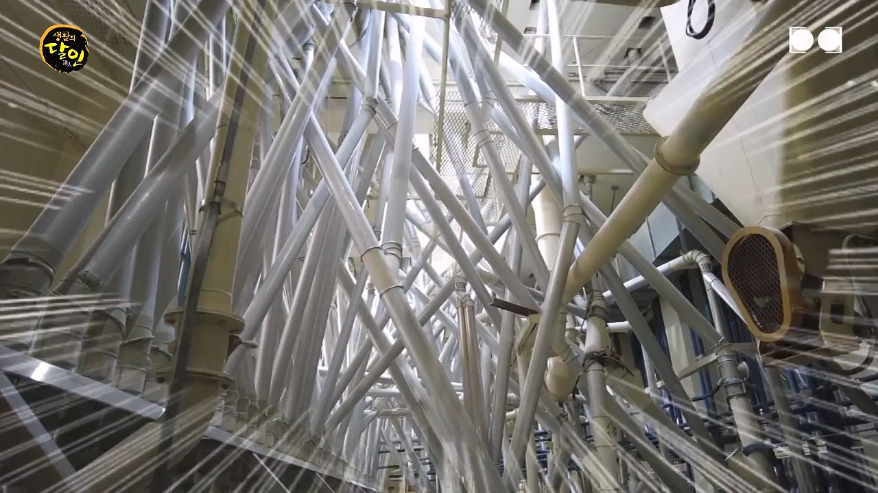 생활의 달인.E940.240618p-NEXT.mp4_20240618_195137.866.jpg