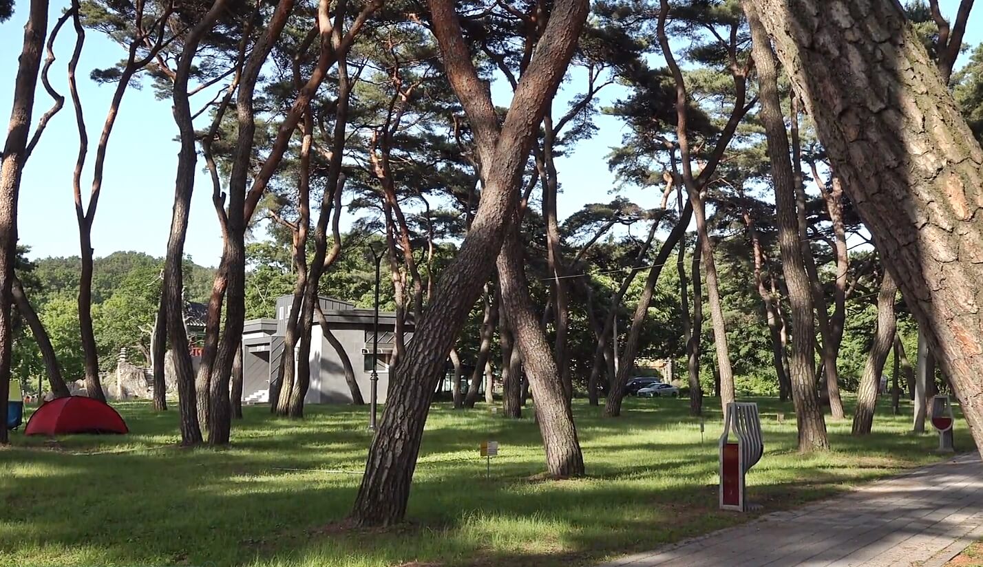 송호리송림