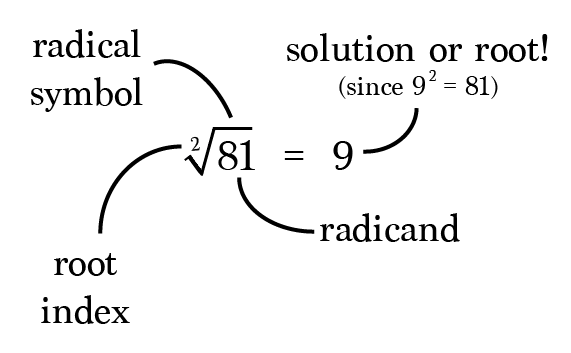 제곱근 Square Root