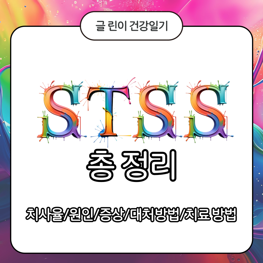  STSS 총 정리