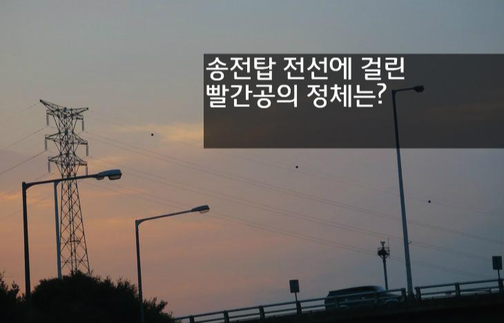 항공장애표시구 송전탑 전깃줄에 빨간공 고압전선 공모양 정체