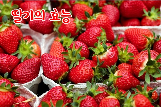 딸기의 이점