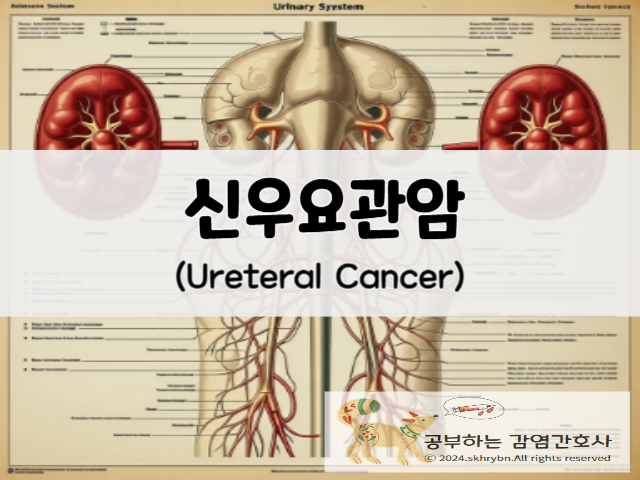 성인 간호_신우 요관암(ureteral cancer)증상, 생존율, 전이, 수술, 간호 진단