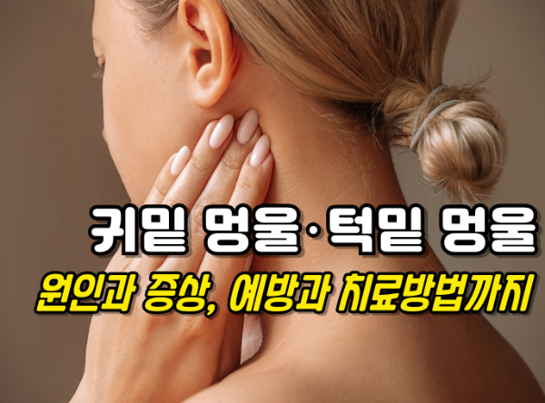 귀밑 멍울, 턱밑 멍울의 모든 것