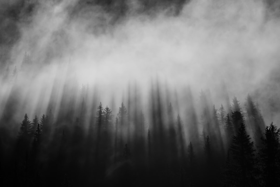 mystery