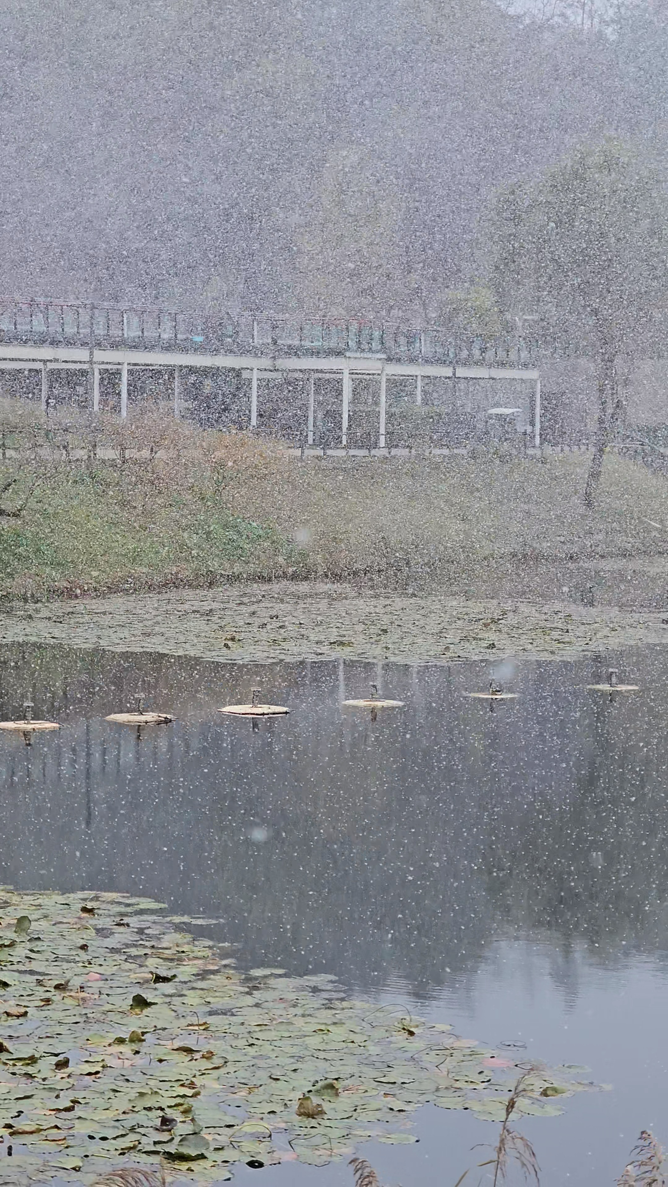 서서울호수공원 맛집&amp;#44; 서서울호수공원 카페&amp;#44; 서서울호수공원 주차장