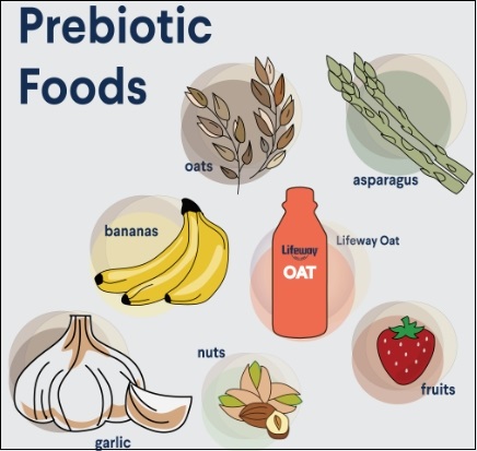 몸에 좋다는 &#39;프리바이오틱스&#39;가 많은 식품들 Scientists name top five foods rich in prebiotics