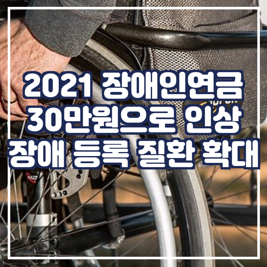  2021년 장애인연금 30만원으로 인상