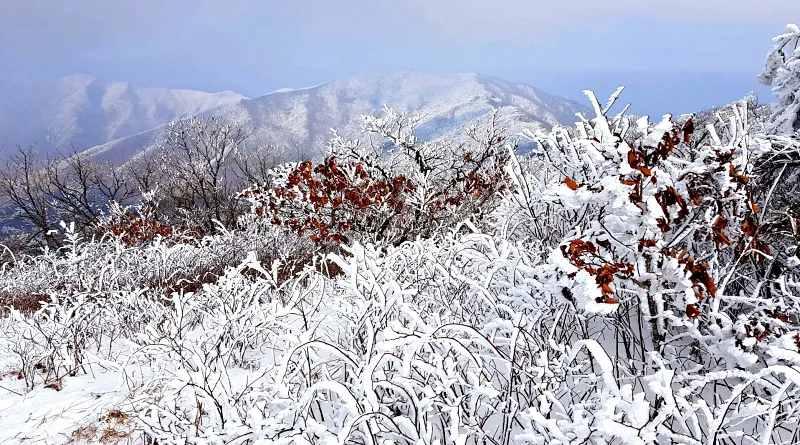 소백산 설경