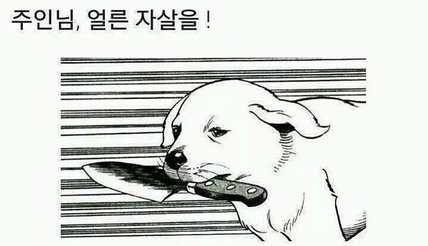 학교폭력의 개념 / 학폭 5호처분이란 / 학교폭력 5호처분 / 학교폭력 1호처분 2호처분 3호처분 / 학교폭력 가해자의 개념 / 학교폭력 유형 / 학폭 대처 방법 - 찾기쉬운 생활정보 학교폭력의 이해 사이트 - - 학교폭력의 개념 / 학폭 5호처분이란 / 학교폭력 5호처분 / 학교폭력 1호처분 2호처분 3호처분 / 학교폭력 가해자의 개념 / 학교폭력 유형 / 학폭 대처 방법 - 찾기쉬운 생활정보 학교폭력의 이해 사이트 - -