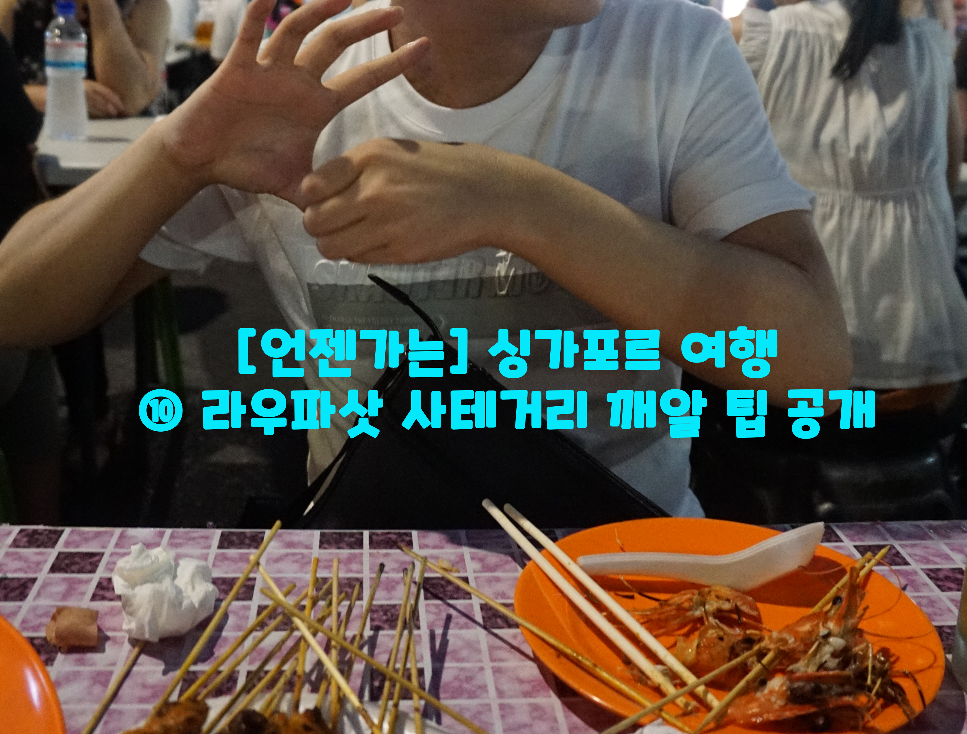  [언젠가는] 싱가포르 여행…⑩ 라우파삿 사테거리 깨알 팁 공개