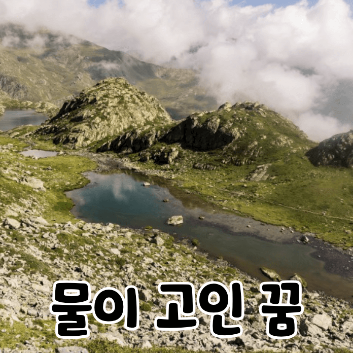 산에 고인 물