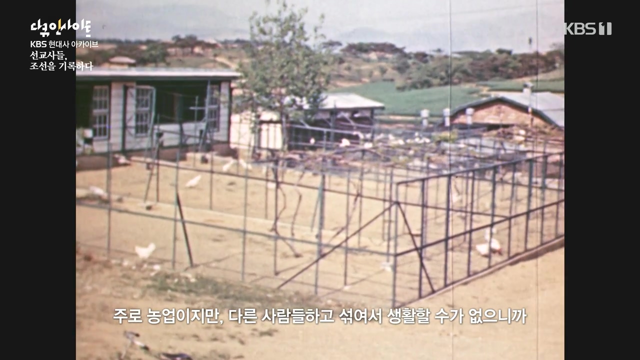 다큐 인사이트.E184.240510p-NEXT.mp4_20240510_203001.637.jpg