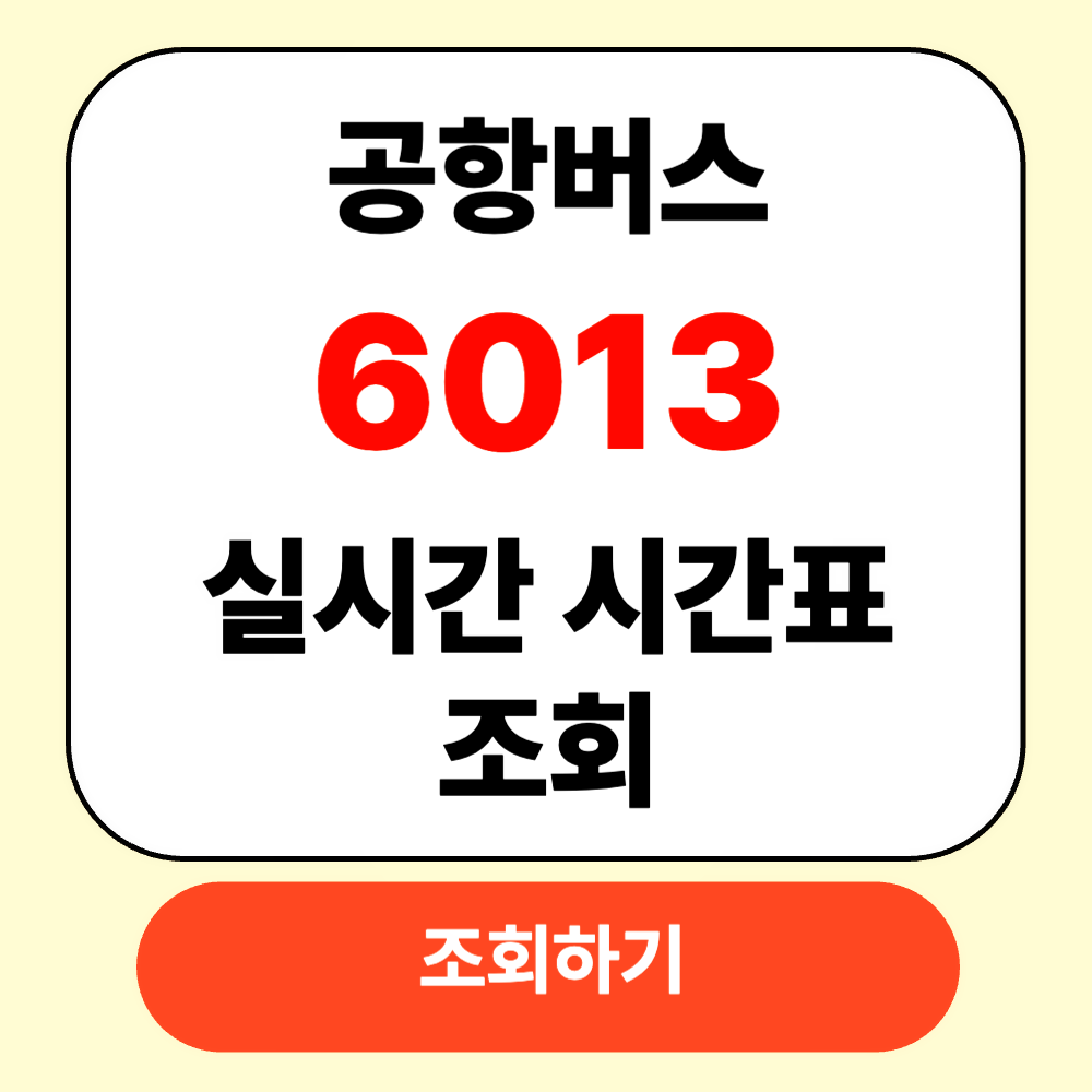 6013공항버스