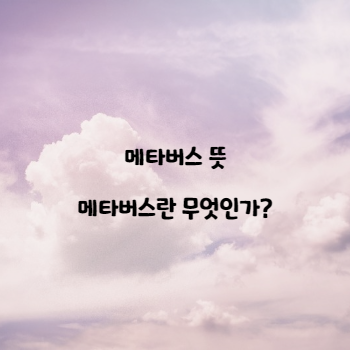  메타버스 뜻, 메타버스란 무엇인가