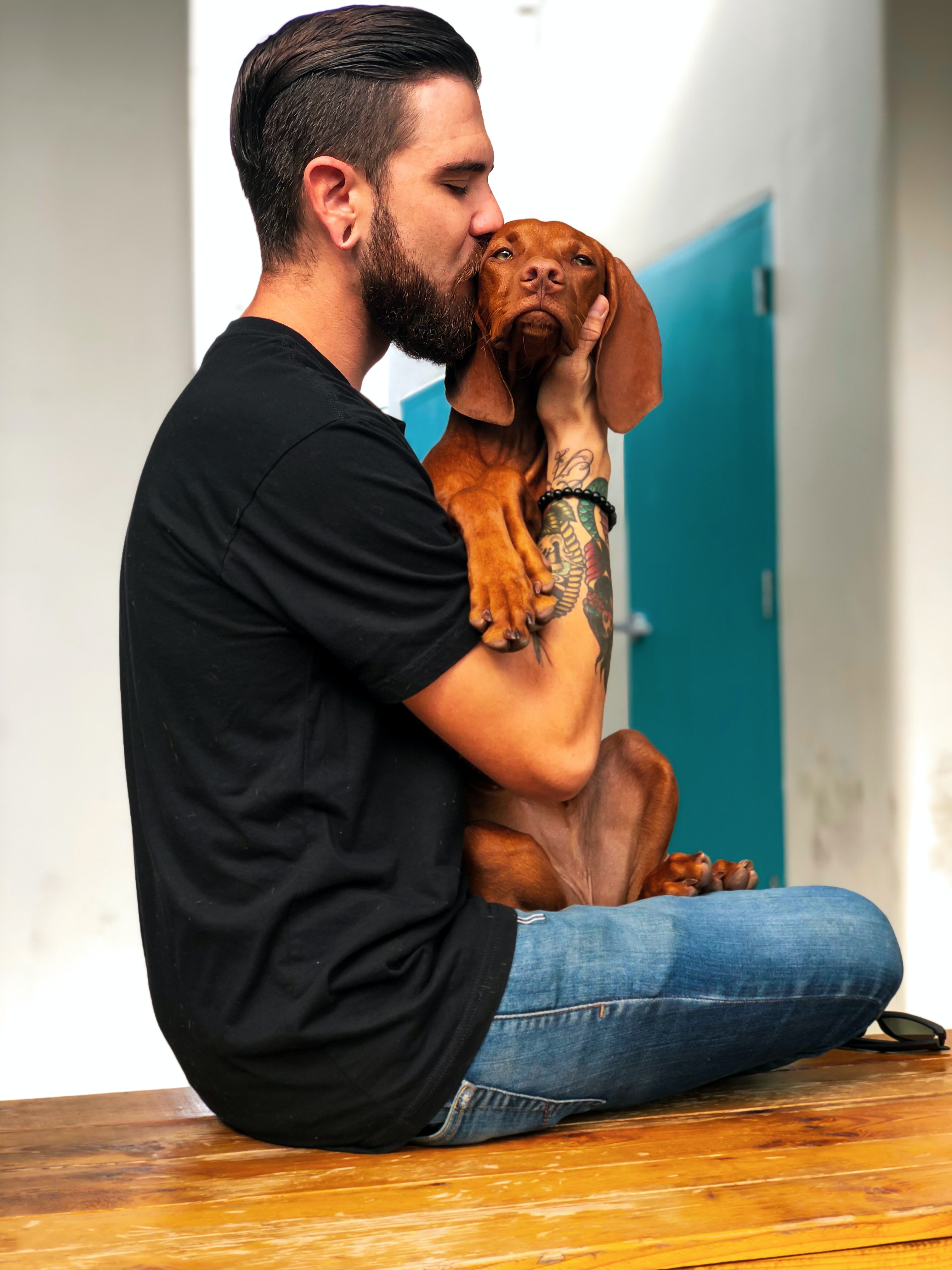 닥스훈트(DACHS HUND) 이미지