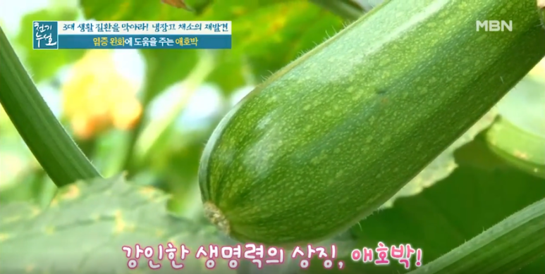  애호박의 효능