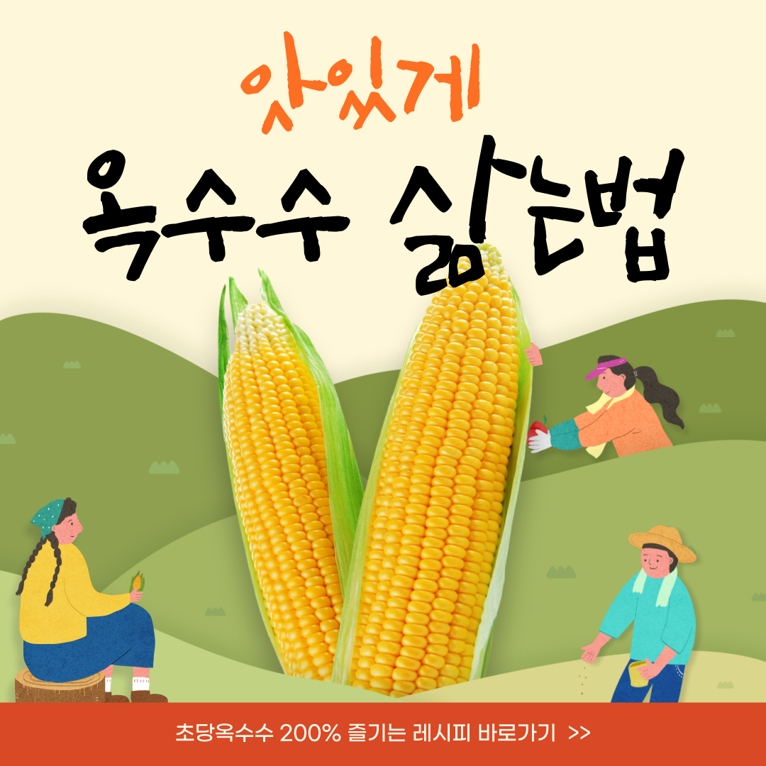 옥수수 삶는법 (백종원 레시피)