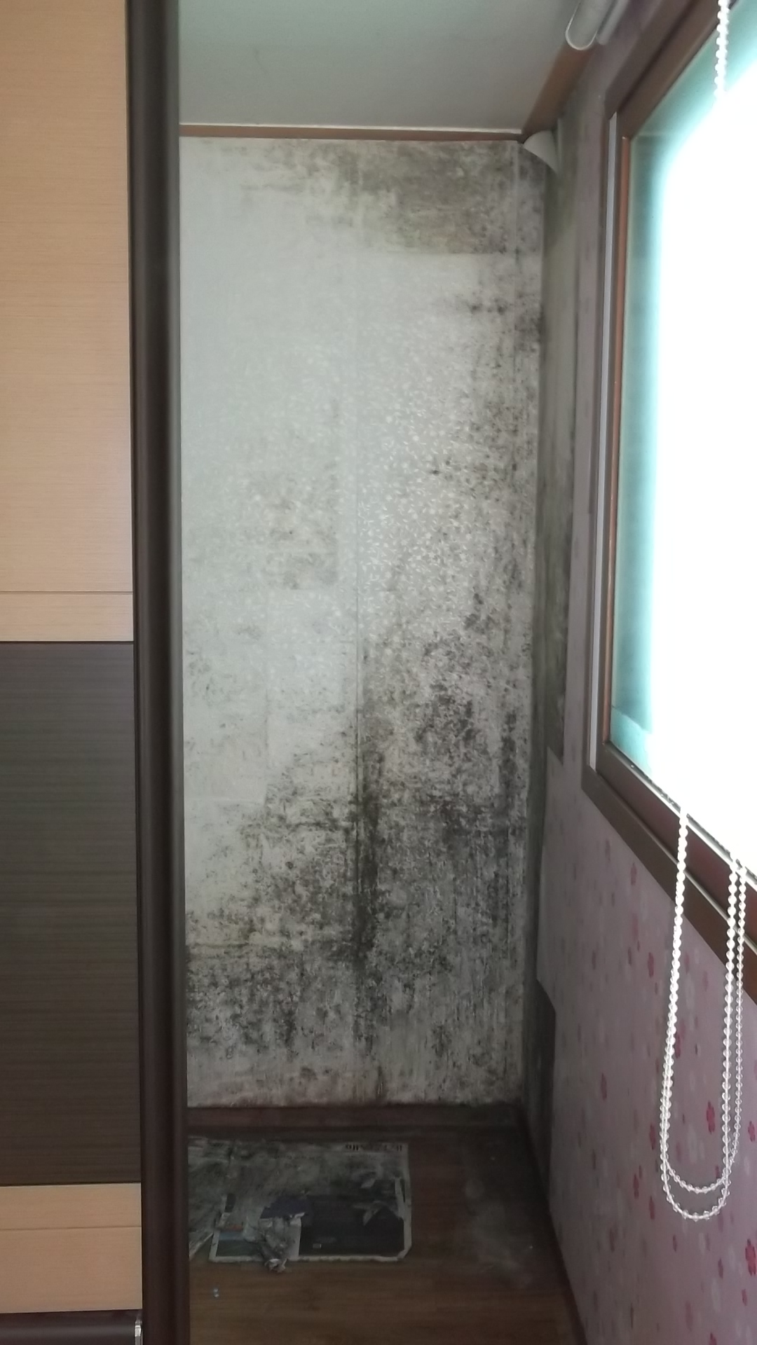  장롱 뒤 벽지에 곰팡이제거 방법!