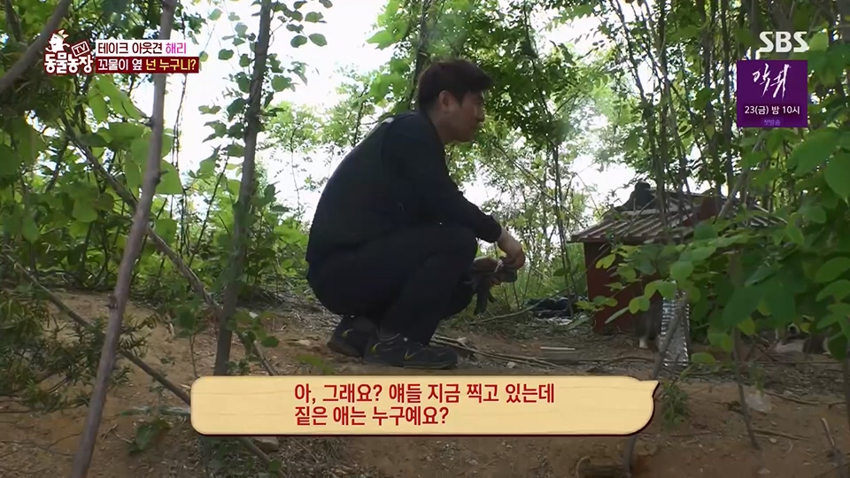 TV 동물농장.E1124.230611p.H264-F1RST.mp4_20230611_173535.044.jpg