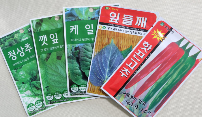  베란다 텃밭 가꾸기 1. 싹 틔우기 (케일, 청상추, 핫끈고추, 깻잎)