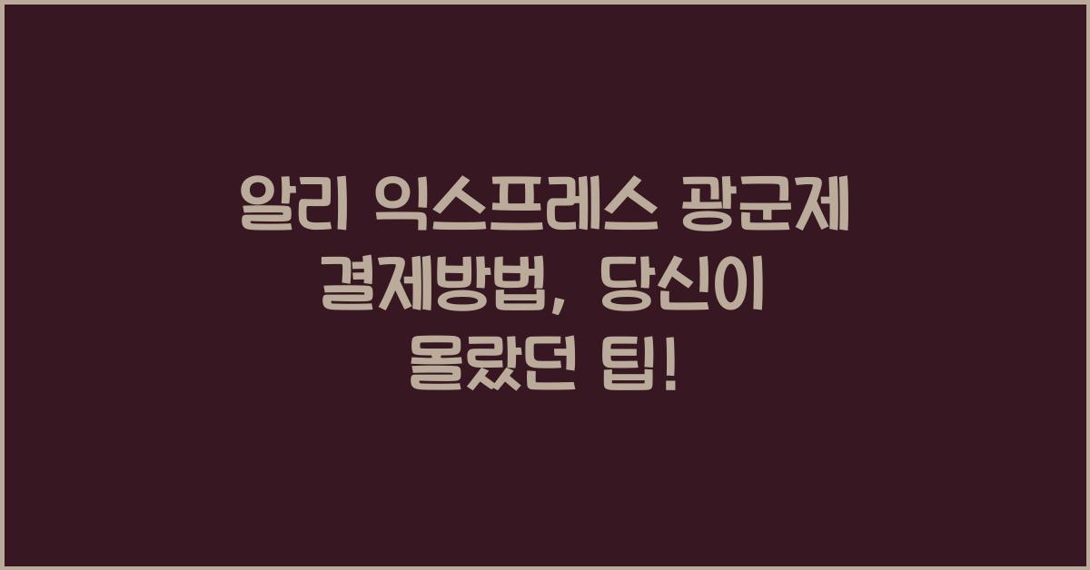 알리 익스프레스 광군제 결제방법