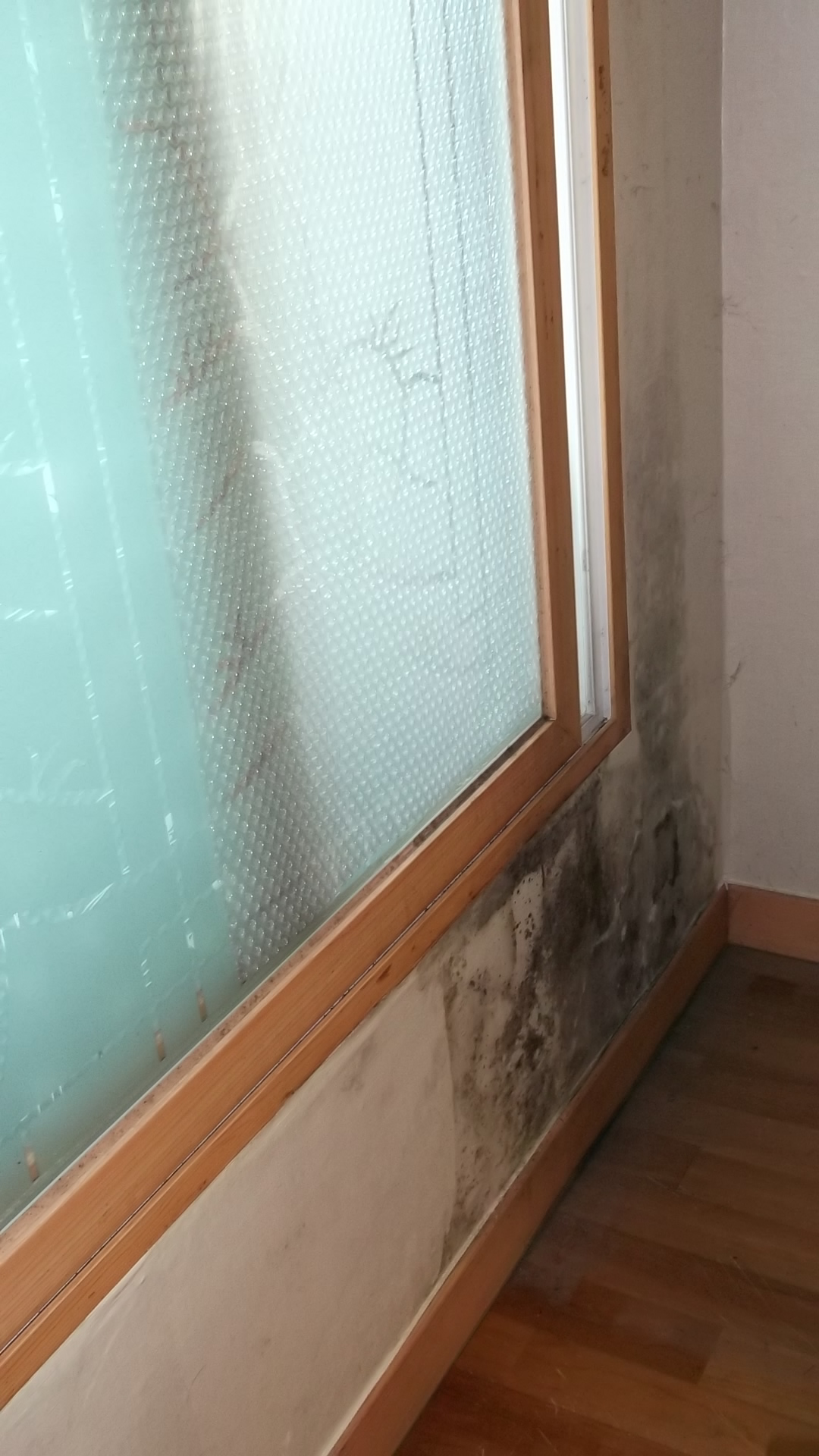  집 벽에 곰팡이제거 퍼펙트 해결!