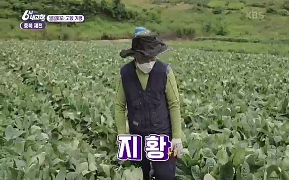 [7612회] 6시 내고향 - KBS7612회] 6시 내고향.ts_20220912_173321.616.jpg