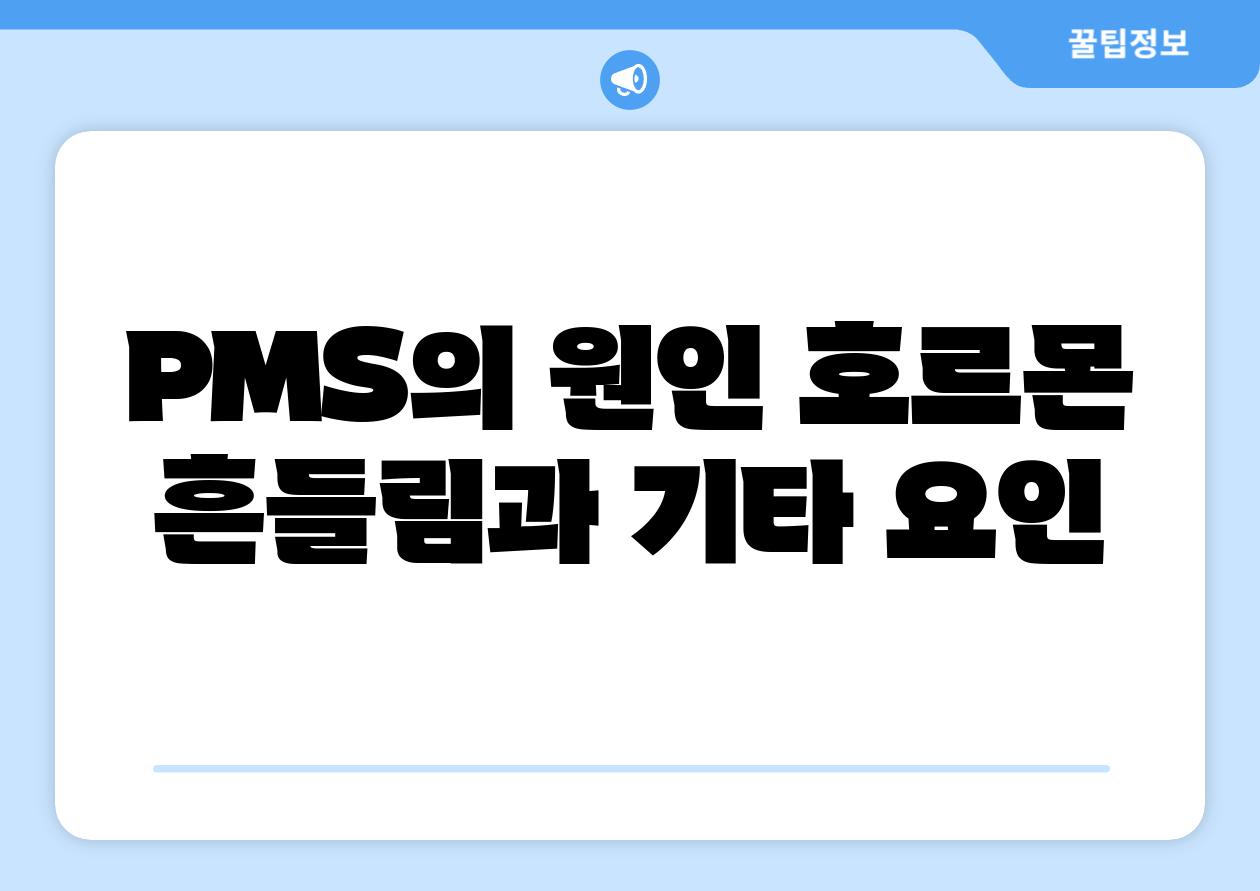 PMS의 원인 호르몬 흔들림과 기타 요인