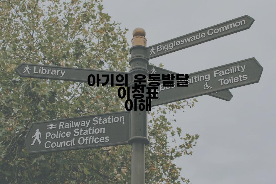 아기의 운동발달 이정표 이해