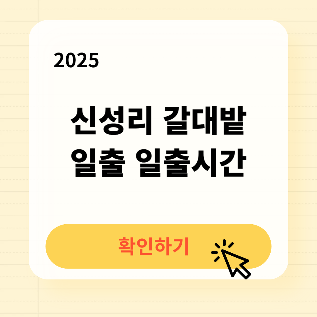 서천 신성리 갈대밭 일출 일출시간 확인