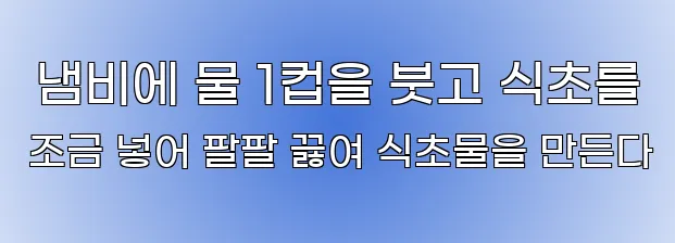  냄비에 물 1컵을 붓고 식초를 조금 넣어 팔팔 끓여 식초물을 만든다